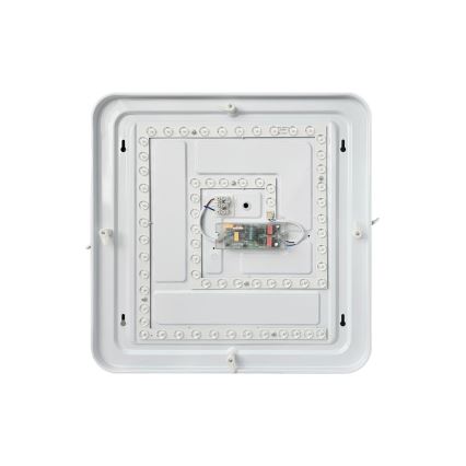Светодиодный потолочный светильник с регулированием яркости FLORA LED/36W/230V 2700-6500K 43x43 см + дистанционное управление