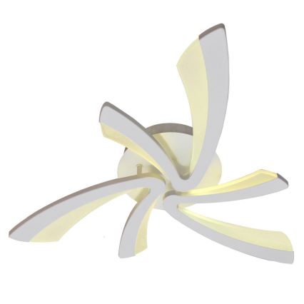 Светодиодный потолочный светильник с регулированием яркости FLORANCE 2xLED/30W/230V