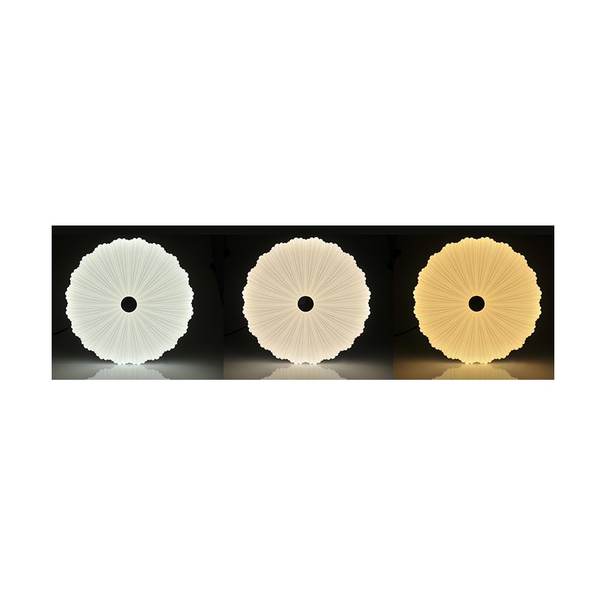 Светодиодный потолочный светильник с регулированием яркости FLOWER LED/36W/230V + дистанционное управление