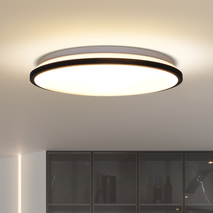 Светодиодный потолочный светильник с регулированием яркости JAMIL LED/48W/230V 3000-6500K черный + дистанционное управление
