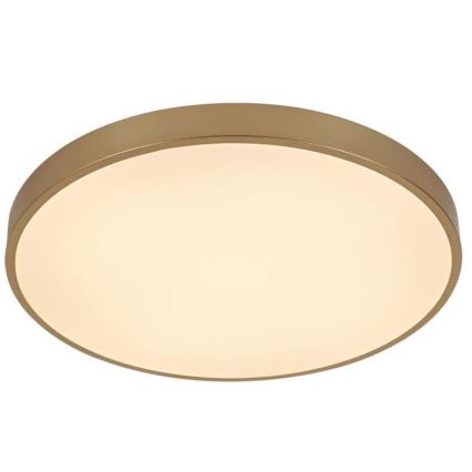 Светодиодный потолочный светильник с регулированием яркости LED/48W/230V 2700-6500K Wi-Fi Tuya + дистанционное управление