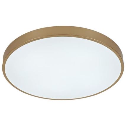 Светодиодный потолочный светильник с регулированием яркости LED/48W/230V 2700-6500K Wi-Fi Tuya + дистанционное управление