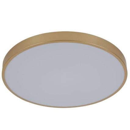 Светодиодный потолочный светильник с регулированием яркости LED/48W/230V 2700-6500K Wi-Fi Tuya + дистанционное управление