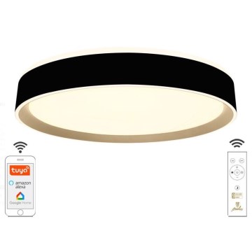 Светодиодный потолочный светильник с регулированием яркости LED/48W/230V 2700-6500K Wi-Fi Tuya + RC