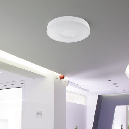 Светодиодный потолочный светильник с регулированием яркости LED/60W/230V 3000-6500K 49,5 см белый + дистанционное управление