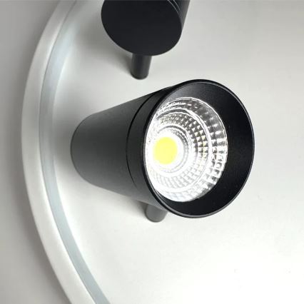 Светодиодный потолочный светильник с регулированием яркости LED/65W/230V 3000-6500K белый + дистанционное управление