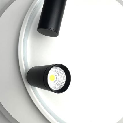 Светодиодный потолочный светильник с регулированием яркости LED/65W/230V 3000-6500K белый + дистанционное управление