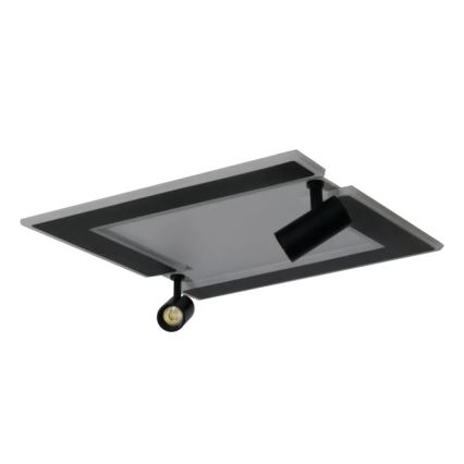 Светодиодный потолочный светильник с регулированием яркости LED/80W/230V 3000-6500K черный + дистанционное управление