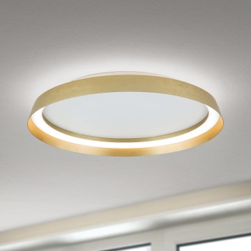 Светодиодный потолочный светильник с регулированием яркости MANTA LED/38W/230V 2700/3000/4000K диаметр 45 см золотистый