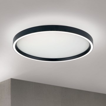 Светодиодный потолочный светильник с регулированием яркости MASCA LED/36W/230V 2700/3350/4000K диаметр 40 см черный