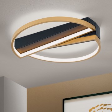Светодиодный потолочный светильник с регулированием яркости OLGA LED/28W/230V золотистый/черный