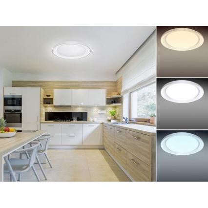 Светодиодный потолочный светильник с регулированием яркости OPAL LED/24W/230V + дистанционное управление