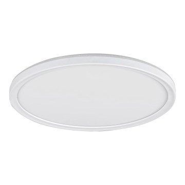 Светодиодный потолочный светильник с регулированием яркости PAVEL LED/22W/230V