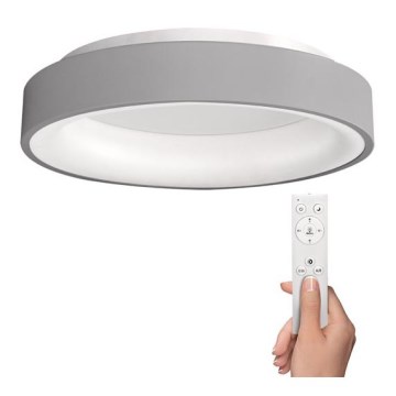 Светодиодный потолочный светильник с регулированием яркости TREVISO LED/48W/230V + пульт ДУ
