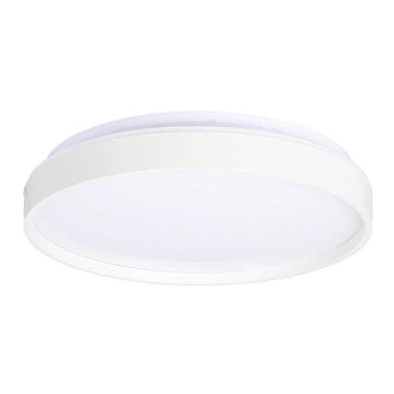 Светодиодный потолочный светильник TEXAS LED/15W/230V белый