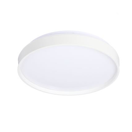 Светодиодный потолочный светильник TEXAS LED/15W/230V белый