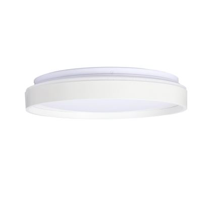 Светодиодный потолочный светильник TEXAS LED/15W/230V белый