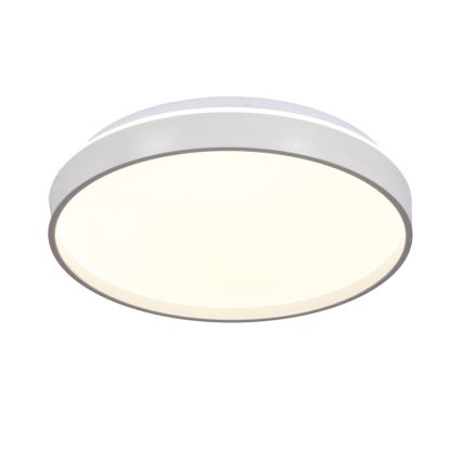 Светодиодный потолочный светильник TEXAS LED/15W/230V белый