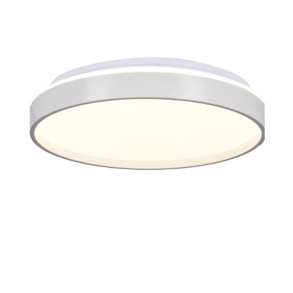 Светодиодный потолочный светильник TEXAS LED/15W/230V белый