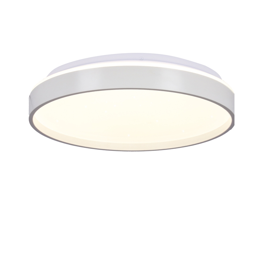 Светодиодный потолочный светильник TEXAS LED/15W/230V белый