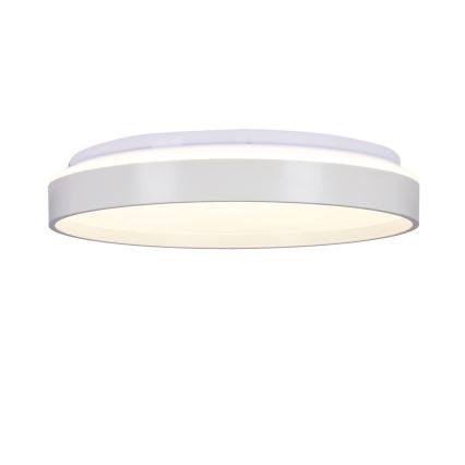 Светодиодный потолочный светильник TEXAS LED/15W/230V белый