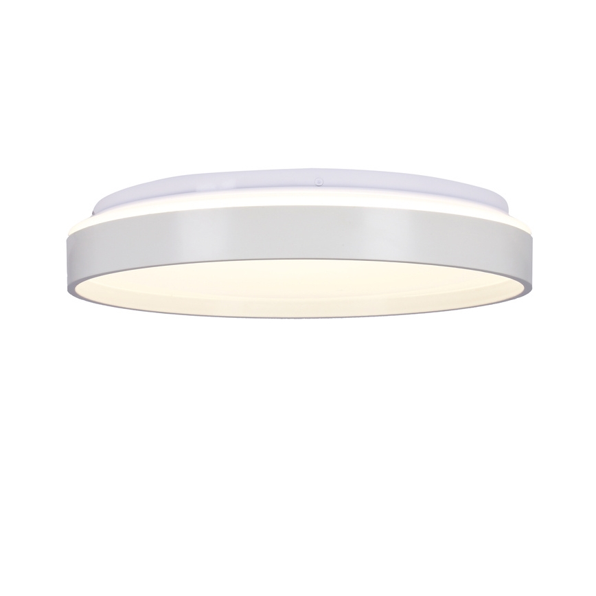 Светодиодный потолочный светильник TEXAS LED/15W/230V белый