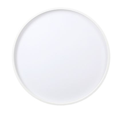 Светодиодный потолочный светильник TEXAS LED/15W/230V белый