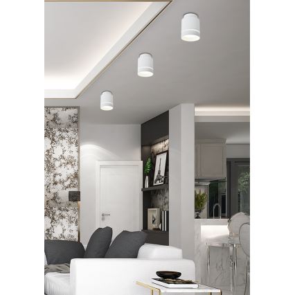 Светодиодный потолочный светильник TUBA LED/12W/230V