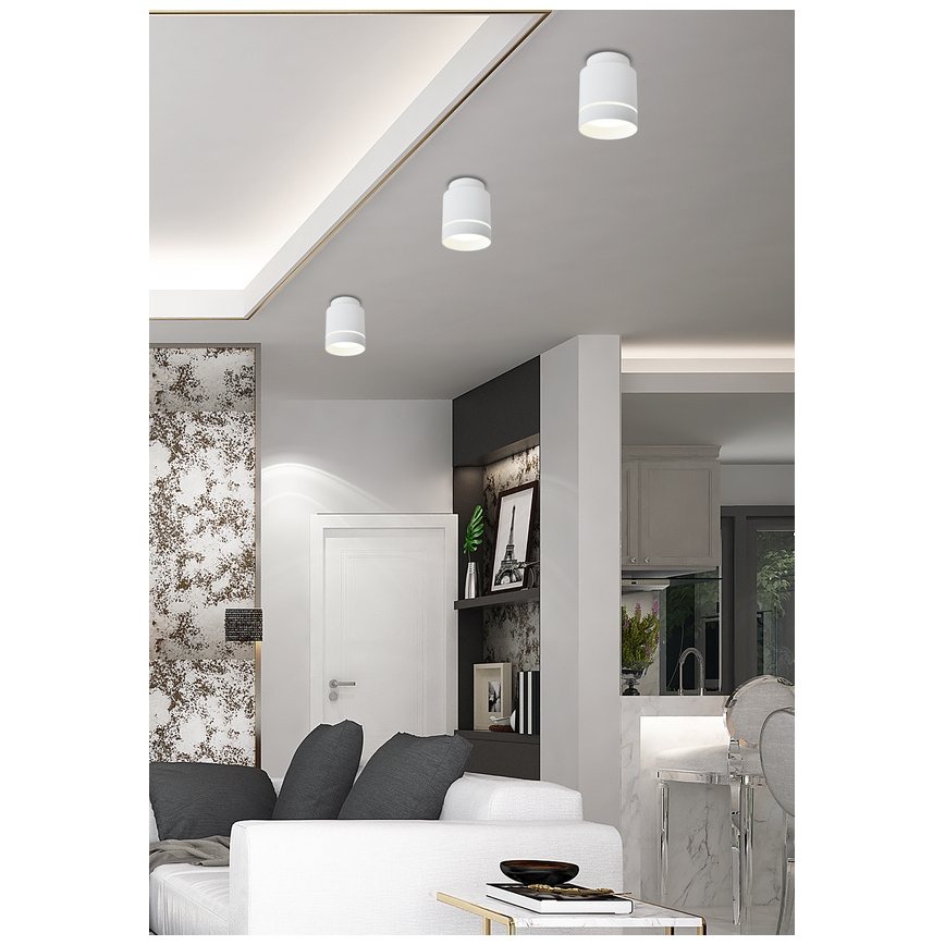 Светодиодный потолочный светильник TUBA LED/12W/230V