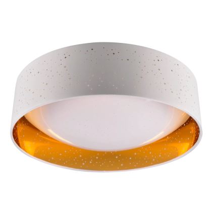 Светодиодный потолочный светильник TULUZA LED/24W/230V диаметр 40 см белый
