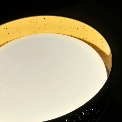 Светодиодный потолочный светильник TULUZA LED/24W/230V диаметр 40 см черный