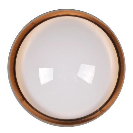 Светодиодный потолочный светильник TULUZA LED/24W/230V диаметр 40 см коричневый