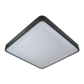 Светодиодный потолочный светильник WILTON LED/24W/230V 37,5x37,5 см антрацит