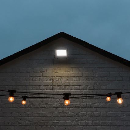 Светодиодный прожектор LED/50W/230V IP65 3000/4000/6500K серый