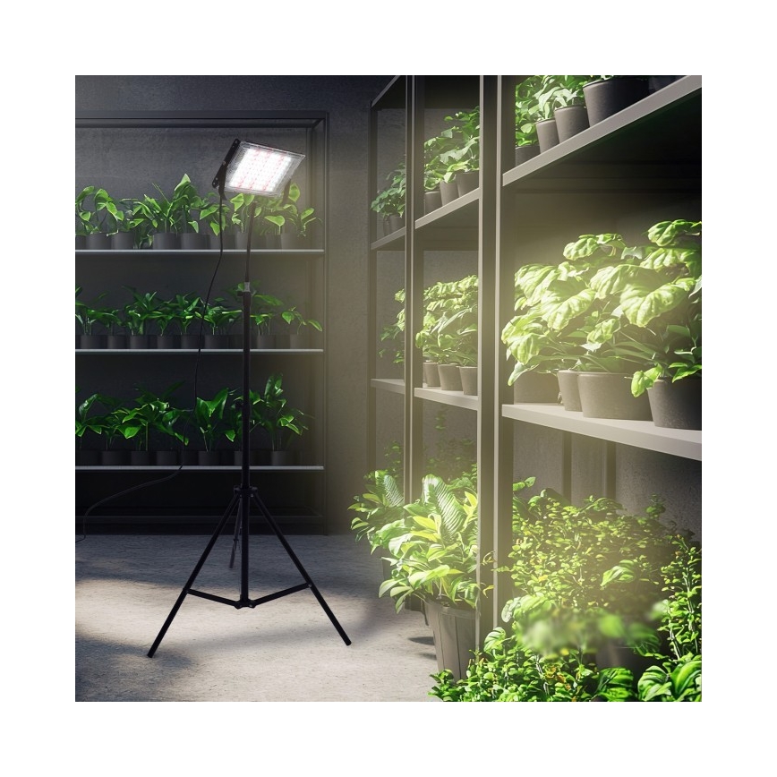 Светодиодный прожектор со стойкой для выращивания растений FIRON LED/45W/230V IP54 черный