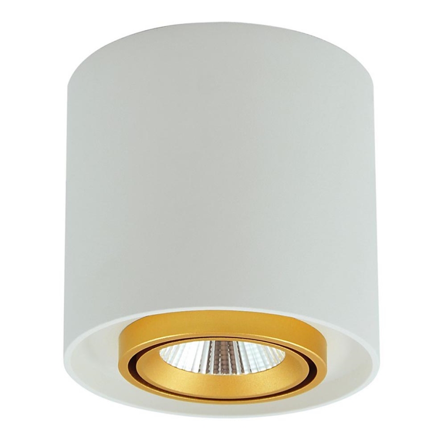 Светодиодный прожектор XENO LED/15W/230V белый 1200 лм