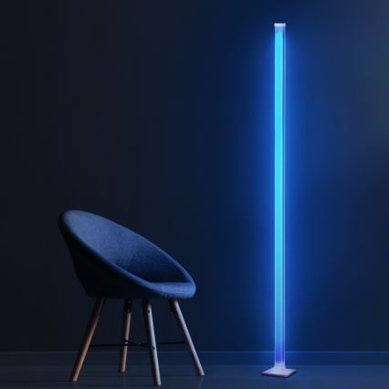 Светодиодный RGBW-торшер с регулированием яркости MAGICAL LED/7W/230V + дистанционное управление