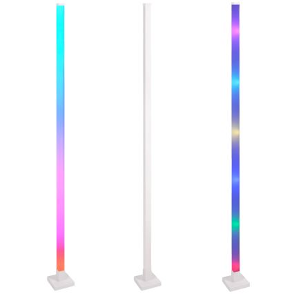 Светодиодный RGBW-торшер с регулированием яркости MAGICAL LED/7W/230V + дистанционное управление
