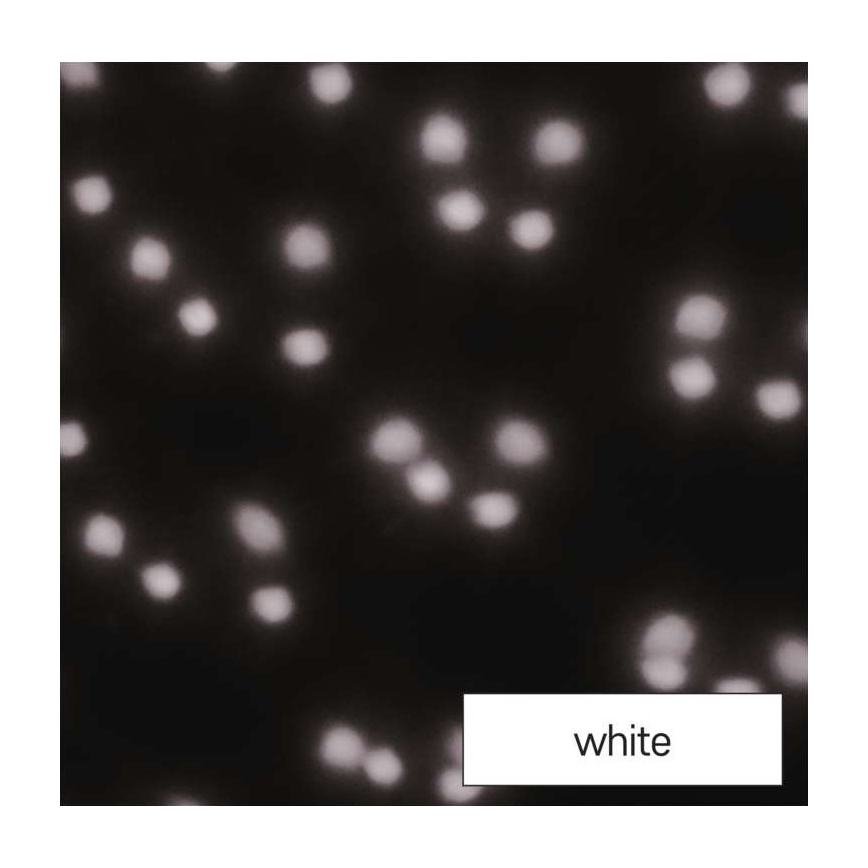 Светодиодный рождественский уличный проектор LED/4W/230V IP44 белый