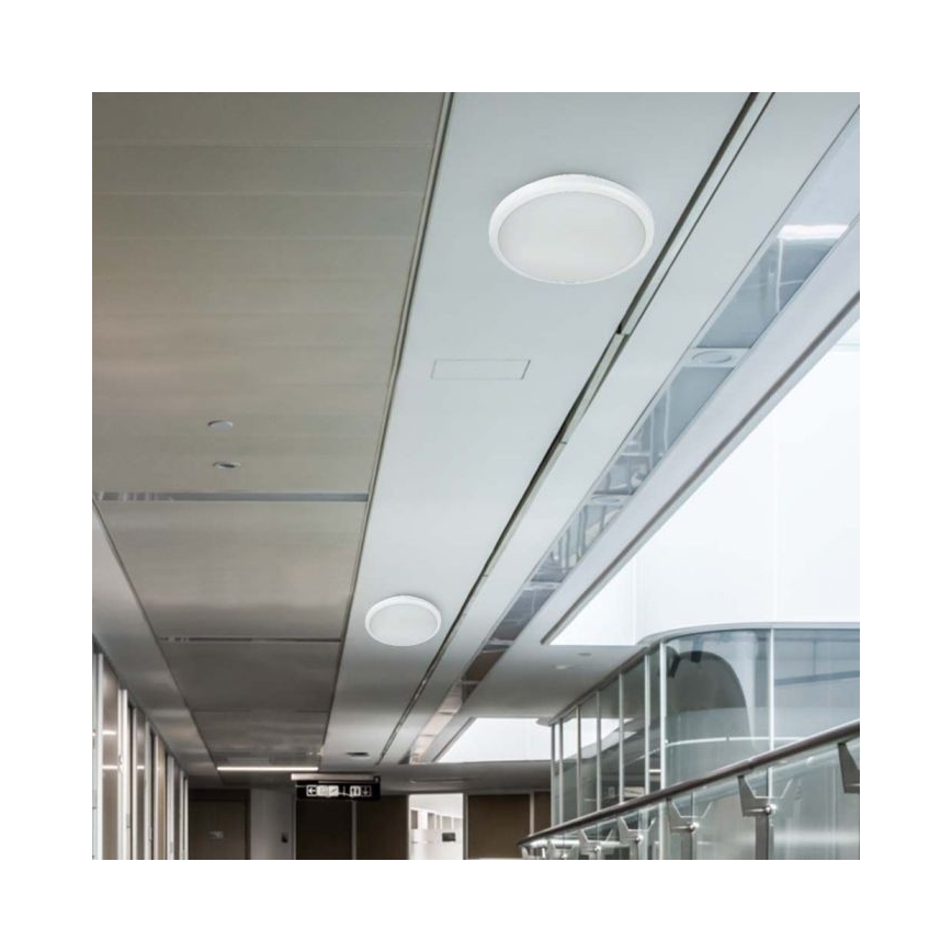 Светодиодный светильник для ванной комнаты с датчиком LED/20W/230V 3000/4000/6000K IP66 диаметр 30 см