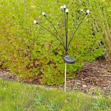 Светодиодный светильник на солнечной батарее FIORINI 8xLED/1,2V 600 mAh IP44 черный