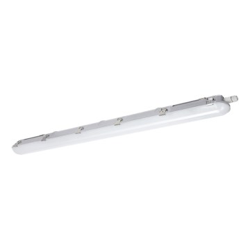 Светодиодный технический люминесцентный светильник NEXFORCE LED/36W/230V 4000K IP66