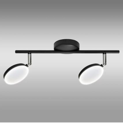 Светодиодный точечный светильник CAPRI 2xLED/5W/230V