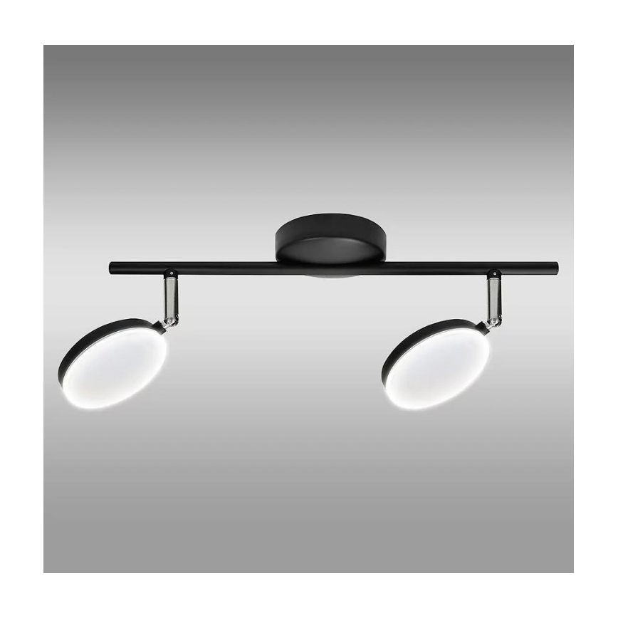 Светодиодный точечный светильник CAPRI 2xLED/5W/230V