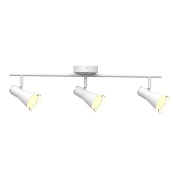 Светодиодный точечный светильник BERG 3xLED/4,2W/230V белый