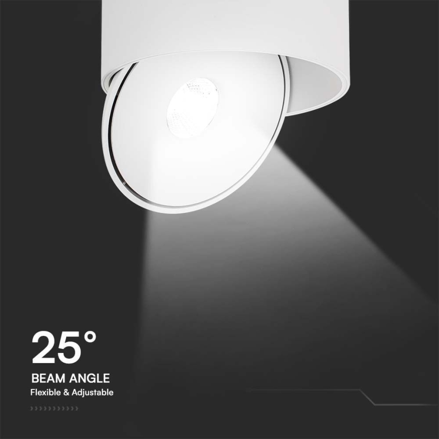Светодиодный точечный светильник LED/20W/230V 3000/4000/6400K CRI 90 белый