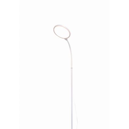 Светодиодный торшер с регулированием яркости 2в1 LED/10W/230V белый