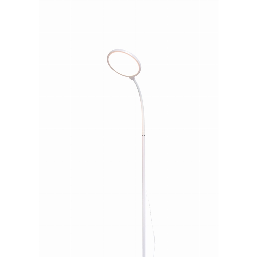 Светодиодный торшер с регулированием яркости 2в1 LED/10W/230V белый