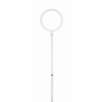 Светодиодный торшер с регулированием яркости 2в1 LED/10W/230V белый