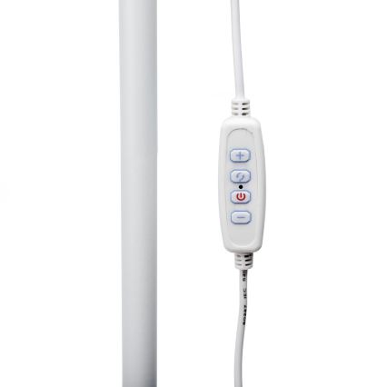 Светодиодный торшер с регулированием яркости SIGNUS LED/10W/230V 3000/4500/6500K белый